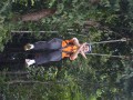 Tn DSC 4138